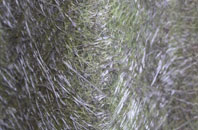 Kilcoo fibreglass roof work